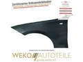DIEDERICHS 1280007 Kotflügel vorne links für BMW