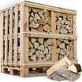 holz4home® Brennholz Hainbuche Kammergetrocknet 1RM/1,6 SRM I 450-500 kg auf Palette I Feuerholz für Kamin Ofen Grill Feuerschale Smoker BBQ