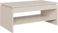 FORTE Couchtisch Couchtisch, Ablage, Stauraum, als Esstisch nutzbar, höhenverstellbar, B/H/T 100/45,7/56 cm