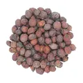 1000Kräuter Weißdornbeeren ganz Weißdornfrüchte Weißdornbeerentee Crataegi Fructus (500g)