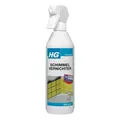 HG Schimmel Vernichter 500 ml