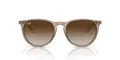 Ray-Ban Erika