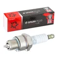 CHAMPION RJ19LM/T10 GOLD PALLADIUM Nickel Zündkerze