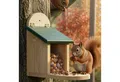 Zooprinz Eichhörnchenkobel Eichhörnchen Futterhaus Futterstation mit Plexiglas Premium Vollholz, Klappdach, große Sitzplattform