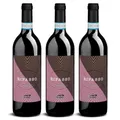 Delinat Ripasso La Casetta 2022 – Italienischer Bio-Rotwein halbtrocken aus Valpolicella – Vegane Corvina-Cuvée, Barrique, säurearm (3 x 0,75l)