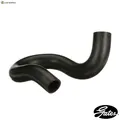 KÜHLERSCHLAUCH 05-5576 FÜR LEXUS TOYOTA RAV/4/VAN A25A-FXS 2.5L 4cyl NX II 2.5L