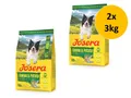 Josera Salmon & Potato | 2x 3kg Hundefutter SPARPACK