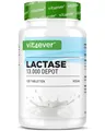 vit4ever Laktase Depot 13.000