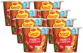 5 Minuten Terrine Spaghetti in Tomatensauce, leckeres Fertiggericht, InstantN...