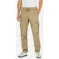 REELL Cargohose Reflex Easy Cargo BR L