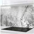 Rodnik Küchenrückwand Pusteblumen, monolithische ABS-Platte mit Direktdruck, formstabil und langlebig grau 400 cm x 60 cm