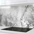 Rodnik Küchenrückwand robuste ABS-Kunststoff Platte Monolith in Deluxe Qualität, Direktdruck. MOTIVAUSWAHL (Pusteblumen, 60x400 cm)
