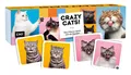 Memo-Spiel: Crazy cats! | Spiel | Deutsch (2023) | 60 S. | EAN 4260478342248