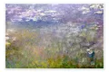 Poster Seerosen, Agapanthus (rechte Tafel) - Claude Monet