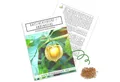 HappySeed Blumensamen Physalis / Kapstachelbeere Samen - Physalis peruviana, Obst