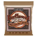 Ernie Ball EB2146 12-54 Earthwood Phosphor Bronze Regular Slinky