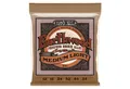Ernie Ball Saiten, (EB2146 12-54 Earthwood Phosphor Bronze Regular Slinky), EB2146 12-54 Earthwood Phosphor Bronze Regular Slinky -