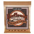 Ernie Ball 2146 Earthwood Phosphor Saiten für Western-Gitarre 012 - 054