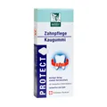 PROTECT Zahnpflege Kaugummi 20 St
