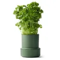 Crushgrind Billund Blumentopf mit Bewässerungssystem Grün | Self Watering Pot für Kräuter & Pflanzen mit 9 cm Ø | Selbstbewässerungstopf aus hochwertigen, nachhaltigen Materialien (Parsley)