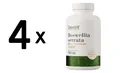 4 x OstroVit Boswellia Serrata - 90 tabs (97,19 EUR/kg)