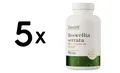 5 x OstroVit Boswellia Serrata - 90 tabs (95,53 EUR/kg)