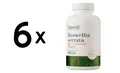 6 x OstroVit Boswellia Serrata - 90 tabs (101,76 EUR/kg)