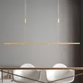 Rothfels LED-Pendelleuchte Tolu messing 119 cm Lichtquelle warmweiß dimmbar LED