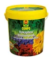 COMPO 1210702004 Blumenprofi (1,2 kg) (Dünger)