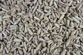 1000Kräuter Kiefernsprossen ganz Kiefernknospen Kräutertee Tee (100g)