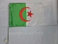 AUTOFAHNE ALGERIEN 45x30cm - ALGERISCHE AUTOFLAGGE 30 x 45 cm - AZ FLAG Auto fla