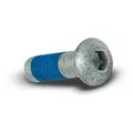 TRISCAN Schraube, Bremsscheibe OPEL,FORD,FIAT 8105 116012 021220612A,0009908502,93600060140H N10456004,690536,9217116,51741440,2632610