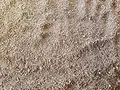Der Naturstein Garten Alwe Bims Granulat 25 kg 0-4 mm Bimskies Kakteenerde - Ideal für Ihre Kakteen und Sukkulenten