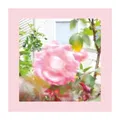 Reds. Pinks And Purples: Summer At Lands End [CD]