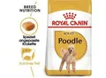 ROYAL CANIN Poodle Adult 3 kg