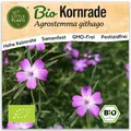 Kornrade Samen (BIO) - 50Samen Blumensamen Kornradesamen Kornrose