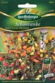 Schönranke, Red & Cream Mischung, Eccremocarpus scaber, ca. 50 Samen
