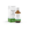 Pflügerplex Senecio 134 Tropfen 50 ml