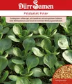 Feldsalat Polar Dunkelgrüner vollherziger,Mehltautolerant ca. 5000 Samen 0514