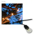 Biergarten-Lichterkette 12,5m IP65 230V für Außen & Bierzelt, Filament LED warmw