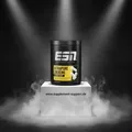 ESN Creatine Giga Caps, 300 Kaps. á 1000mg