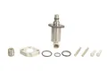 Element, Common-Rail Pumpe DENSO DCRS301380