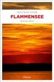 Flammensee: Bodensee Krimi