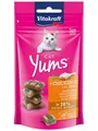 Vitakraft Cat Yums + Chicken and Cat Grass 40g