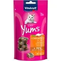 Vitakraft Cat Yums Huhn und Katzengras 40 g