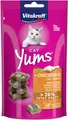 Vitakraft Cat YUMS, Katzen Leckerli, weicher Katzensnack gefüllt mit Huhn und Katzengras, im wiederverschließbaren Beutel, ohne Zusatz von Zucker (1x 40g)
