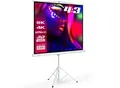 eSmart Professional MISATI Stativ Leinwand 244 x 183 m (120") 4:3