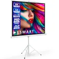 ESMART Professional MISATI Stativ Leinwand 244 x 183 cm (120") 4:3