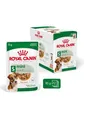 Royal Canin Mini Adult - wet dog food - 12 x 85g
