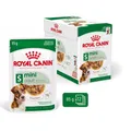 Royal Canin Shn Mini Adult 12x85g Nassfutter in Sauce Für Hunde Kleiner Rassen